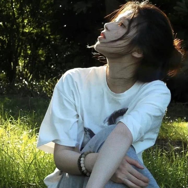 琼森帮：完美盗窃